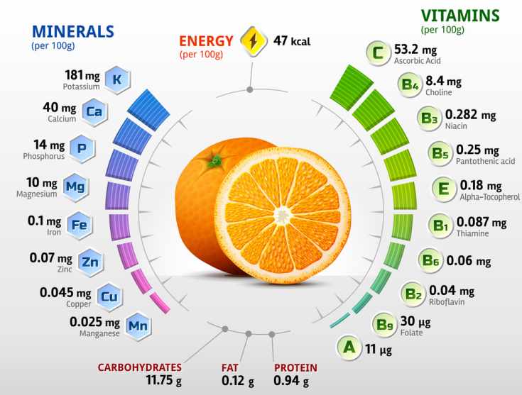 orange is an excellent supply of vitamin C